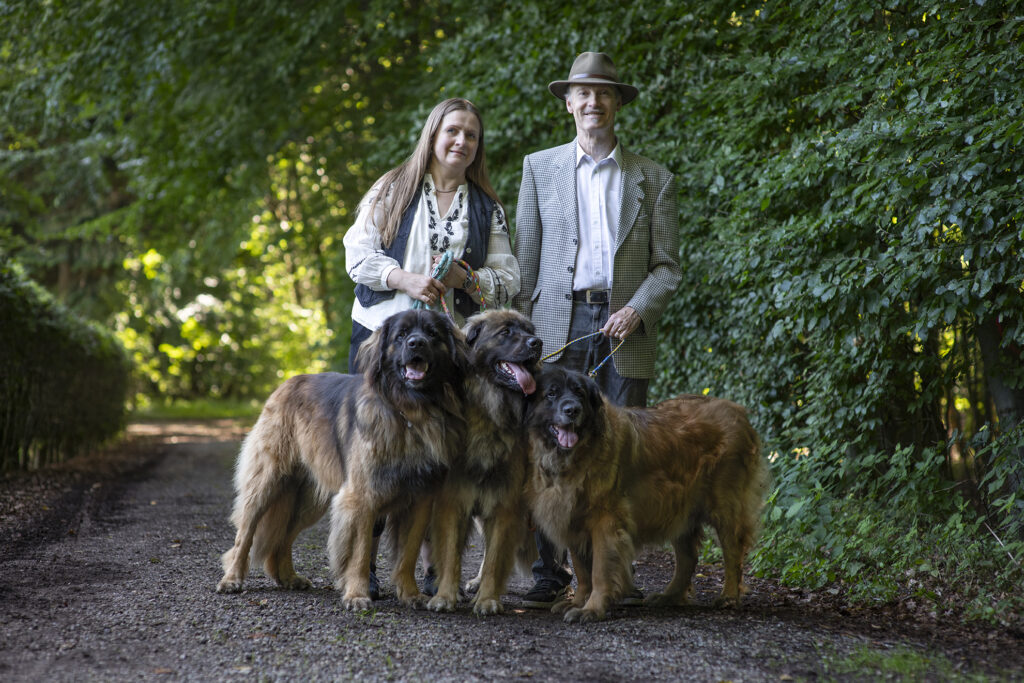 Om House of Business Solutions svg%3E