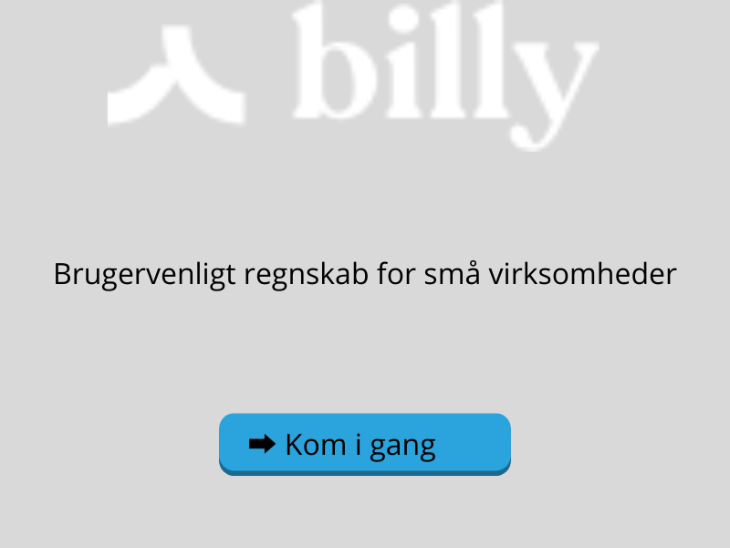Billy - regnskabsprogram for solo-selvstændige