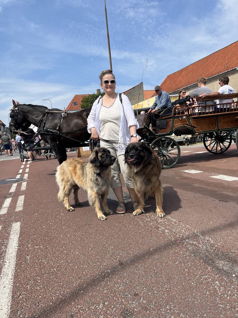 Om House of Business Solutions Min passion